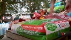 Як у Каролінах рятували домашніх тварин від урагану. Відео