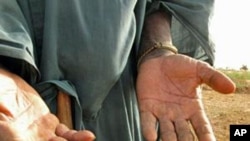 African Farmers Can Overcome Warming Climate, Says Study