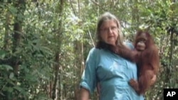 Scene from movie Born to be Wild