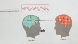 Scientists Explore How Brains Work During Conversations