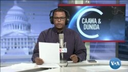 Caawa iyo Dunida