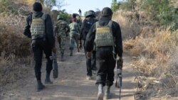 L'armée camerounaise sur le qui-vive après l’annonce d'un projet de mur équato-guinéen à la frontière