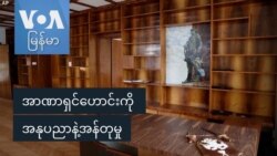 အာဏာရှင်ဟောင်းကို အနုပညာနဲ့အန်တုမှု
