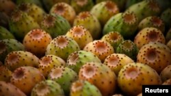Prickly pears are displayed for sale at a stall in Beirut, Lebanon, July 22, 2014. A dozen prickly pears are sold for approximately $4 in the Lebanese market.