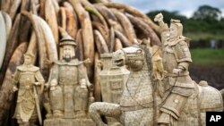 FILE - Confiscated ivory statues stand in front of one of around a dozen pyres of ivory in Nairobi National Park, Kenya, April 28, 2016. 