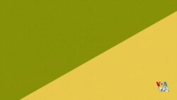 VOA Connect - گاوچران‌های دگرباش و رنگین‌پوست