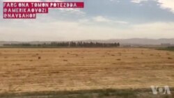 Toshkentdan Farg’ona tomon poyezdda...