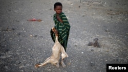 FILE - A boy carries a carcass of a goat in a village near Loiyangalani, Kenya, March 21, 2017.