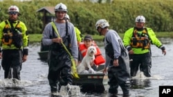 Amy Bishop is evacuated from her home by Pasco County Fire and Rescue and Sheriff's Office teams as waters rise in her neighborhood after Hurricane Milton caused the Anclote River to flood, Oct. 11, 2024, in New Port Richey, Fla. 