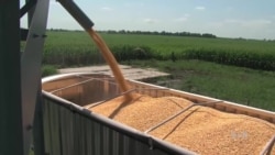 US Farmers Welcome Diplomatic Relations With Cuba