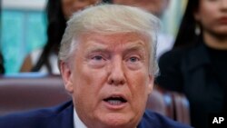 FILE - President Donald Trump.