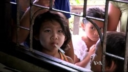 Deforestation Driving Spike in Rare Malaria Strain, Scientists Say