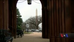 Тимчасове закриття уряду США: день 21-й. Відео