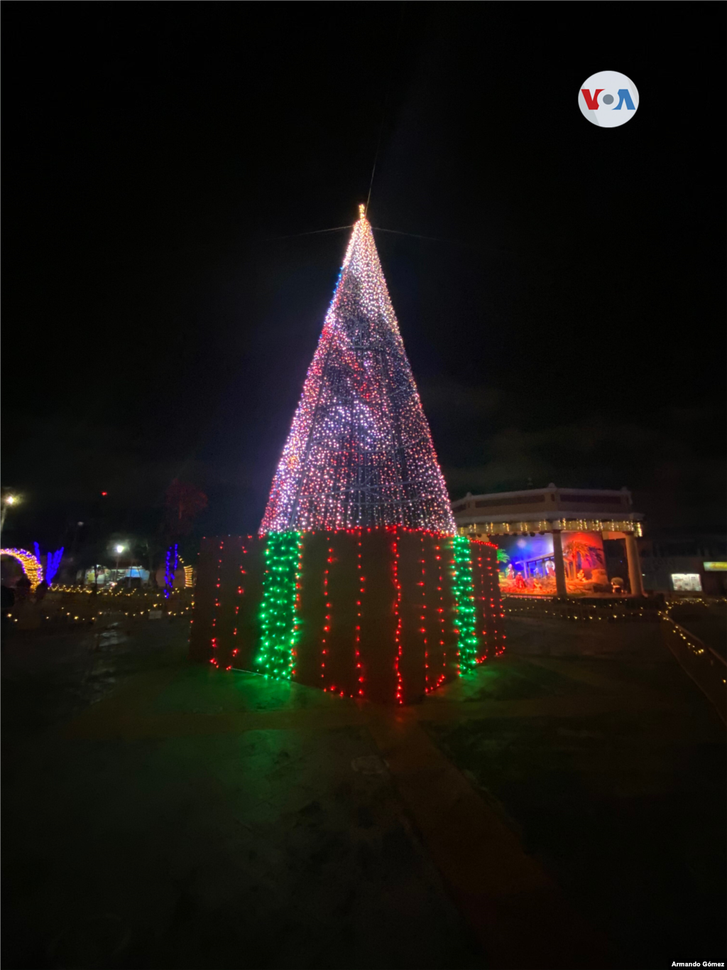 El árbol de Navidad ha sido una tradición adoptada por muchos países centroamericanos y Costa Rica no es la excepción. Foto Armando Gómez/VOA.