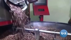 Climate Change Affects Coffee Growers in El Salvador