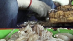 Thailand Seafood Industry Denies Links to Human Trafficking