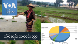 တိုင်းရင်းသတင်းလွှာ