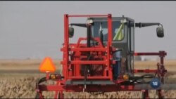 Американські вчені розробляють робота-садівника, який може сам доглядати за рослинами. Відео