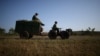 Cuban Farmland Lies Fallow, Production Languishes, Govt. Report Shows