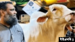 ফাইল ফটো 