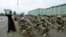 A priest blesses servicemen during a farewell ceremony at the Vaziani military base outside Tbilisi, Dec. 16, 2014. 