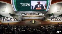 Quelque 4.500 délégués et invités, dont 32 chefs d'Etat et plus de 100 ministres, étaient présents pour le lancement de la Zlec dans la capitale nigérienne.