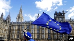 Para pendukung "anti-Brexit" berunjuk rasa di depan gedung Parlemen Inggris di London, 25 Maret 2019. (Foto: dok).