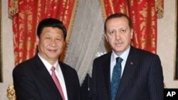 Chinese Vice President Xi Jinping (l) with Turkey's Prime Minister Recep Tayyip Erdogan in Istanbul, Turkey, February 21, 2012.