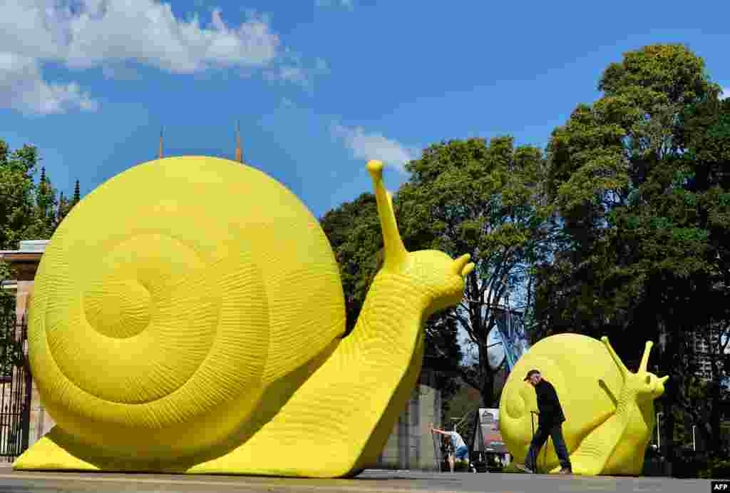 Seorang pria berjalan melewati patung keong raksasa karya kelompok seni kolektif &quot;Cracking Art&quot; di dekat Hyde Park di distrik pusat bisnis Sydney, Australia. Keong-keong&nbsp; yang terbuat dari plastik daur ulang itu, telah ditempatkan di lokasi-lokasi yang berbeda di pusat bisnis itu sehubungan dengan Festival Seni dan Sekitarnya yang akan berlangsung di kota itu.