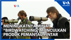 Meningkatnya Minat "Birdwatching" Munculkan Produk Pemantau Pintar