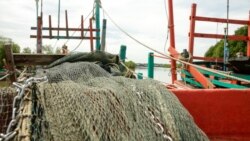 អាកាសធាតុប្រែប្រួល៖ ហានិភ័យនៃការនេសាទតាមសមុទ្រ