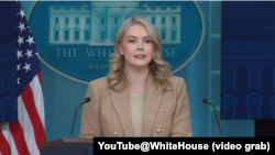 د سپینې ماڼۍ ویانده کارولین لیووت