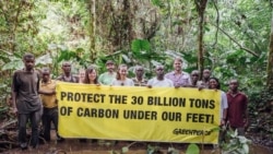 Greenpeace tire la sonnette d'alarme sur les incendies dans le bassin du Congo