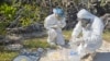Avian Flu Hits Bird Paradise of Galapagos Islands