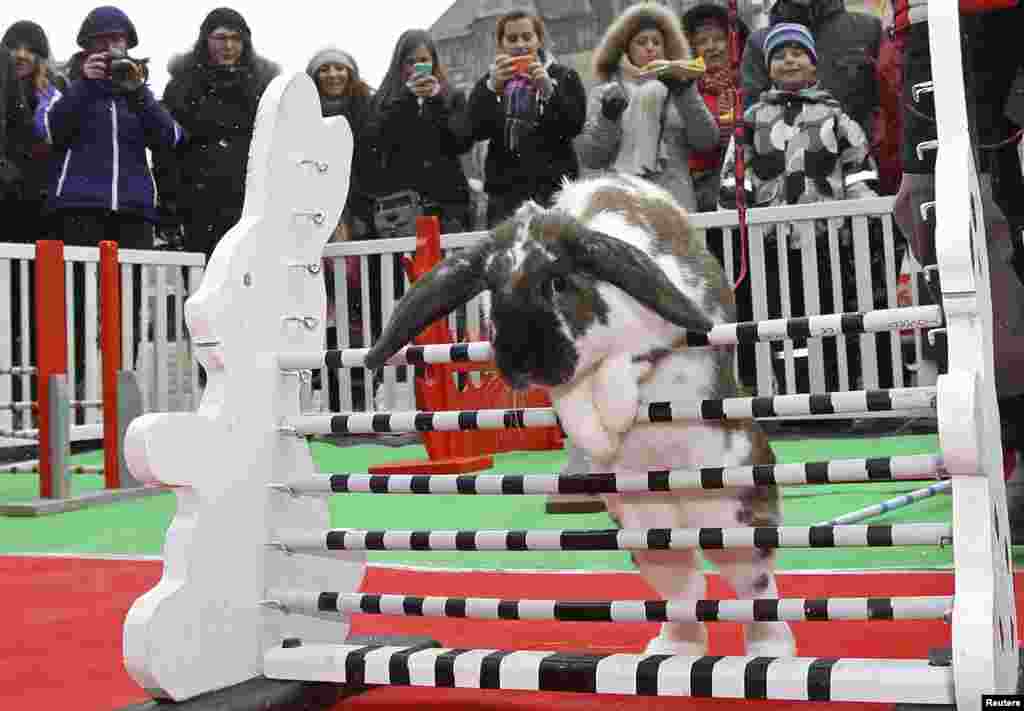 Para penonton melihat atraksi seekor kelinci melompati rintangan di pasar tradisional Paskah di lapangan Kota Tua Praha, Republik Ceko.