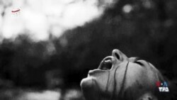 اکران: «چه بر سر ما آمد» در آف برادوِی نیویورک غوغا می‌کند