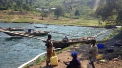 Reportage de Freeman Sipila, correspondant à Bangui pour VOA Afrique