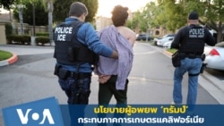 นโยบายผู้อพยพ ‘ทรัมป์’ กระทบภาคการเกษตรแคลิฟอร์เนีย