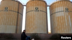 中储粮在天津港附近的粮食储备设施。（2019年12月12日）