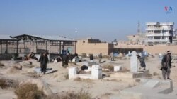 روند تداوی معتادین با روش دلجویی و تعقیب دربلخ