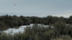 Armed Militia Vows to Occupy Oregon Federal Building Indefinitely