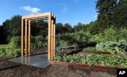 وائٹ ہاؤس کا کچن گارڈن جسے مشیل اوباما نے بنوایا تھا۔