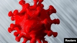 Model 3-D virus corona (COVID-19) dalam foto ilustrasi, 25 Maret 2020. (Foto: Reuters)