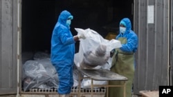 资料图： 斯里兰卡的卫生部门工作人员正在处理疫情死者的遗体。（美联社2021年8月11日）