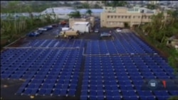 Ілон Маск: технології і сонячні панелі Tesla можуть допомогти у відбудові енергетичної системи Пуерто-Ріко. Відео