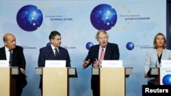 A maybug beetle (Melolontha) climbs on a plant at a garden outside Moscow.