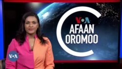 Tamsaasa Guyaadhaa Guyyaa