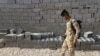 Iraqi, Peshmerga Forces to Step Up Anti-IS Joint Effort 