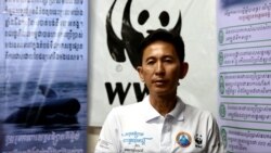 បទសម្ភាសន៍ VOA៖ ប្រធាន​អង្គការ​ WWF​ កម្ពុជាថា​​ទំនប់​វារីអគ្គិសនី​ដនសាហុង​ធ្វើ​ឲ្យ​ផ្សោត​ខេត្ត​ក្រចេះ​អន្តរាយ​​​