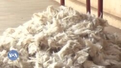 Segou sigida musow ka tapi dilan yoro ; Nyeleni